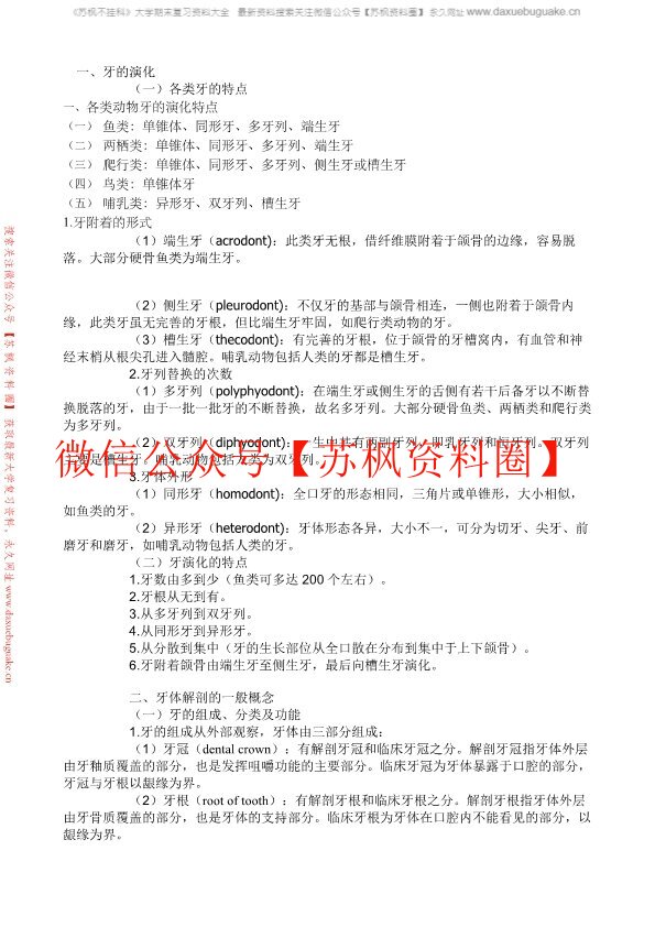 口腔局部解剖
